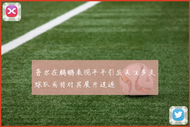 普尔在鹈鹕表现平平引发关注多支球队或将对其展开追逐